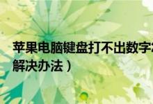 苹果电脑键盘打不出数字怎么办（苹果电脑键盘打不出数字解决办法）