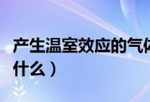 产生温室效应的气体（导致温室效应的气体是什么）