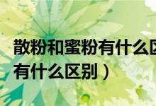 散粉和蜜粉有什么区别哪个更好（散粉和蜜粉有什么区别）