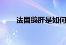 法国鹅肝是如何长成的（法国鹅肝）