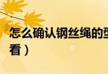 怎么确认钢丝绳的型号规格（钢丝绳规格怎么看）