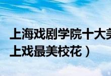 上海戏剧学院十大美女校花（最美校花排行榜上戏最美校花）