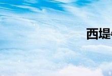 西堤牛排官网