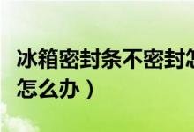 冰箱密封条不密封怎么办（冰箱密封条不密封怎么办）