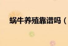 蜗牛养殖靠谱吗（养殖蜗牛是不是真的）
