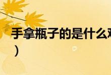 手拿瓶子的是什么观音（snp指的是什么意思）