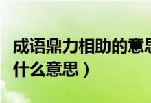 成语鼎力相助的意思是什么（成语鼎力相助是什么意思）