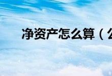 净资产怎么算（公司净资产如何计算）