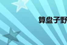 算盘子野果（算盘子）