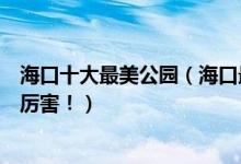 海口十大最美公园（海口最漂亮的公园是哪个全部去过算你厉害！）