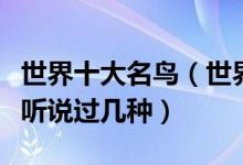 世界十大名鸟（世界上最为出名的鸟这些鸟你听说过几种）