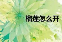 榴莲怎么开（如何打开榴莲）