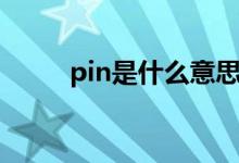 pin是什么意思（pin是什么意思）