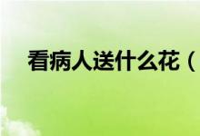 看病人送什么花（看病人送哪种花适宜）