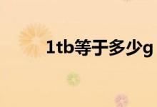 1tb等于多少g（1TB是什么意思）