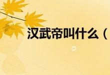 汉武帝叫什么（汉武帝叫什么名字）