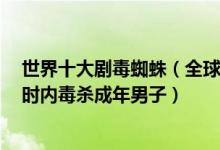 世界十大剧毒蜘蛛（全球毒性最强蜘蛛盘点第一名可在1小时内毒杀成年男子）