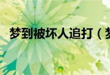 梦到被坏人追打（梦到被坏人追打的意思）