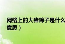 网络上的大猪蹄子是什么意思?（网络上的大猪蹄子是什么意思）