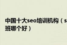 中国十大seo培训机构（seo实战培训机构排名seo专业培训班哪个好）