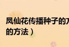 凤仙花传播种子的方法图片（凤仙花传播种子的方法）