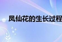 凤仙花的生长过程（凤仙花的生长变化）