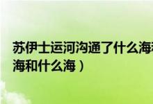 苏伊士运河沟通了什么海和什么洋（苏伊士运河沟通了什么海和什么海）