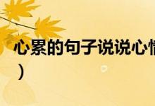 心累的句子说说心情（有哪些关于心累的句子）