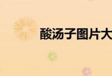 酸汤子图片大全（酸汤子图片）