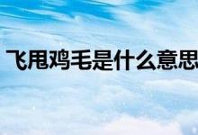 飞甩鸡毛是什么意思（飞甩鸡毛是什么牌子）