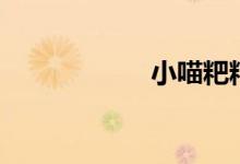 小喵粑粑（小粑粑）