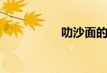 叻沙面的做法（叻沙）
