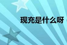 现充是什么呀（现充是什么意思）