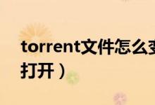 torrent文件怎么变链接（torrent文件怎么打开）