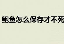 鲍鱼怎么保存才不死（活鲜的鲍鱼怎么保存）