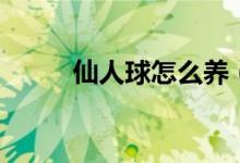 仙人球怎么养（仙人球要怎么养）