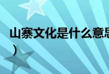 山寨文化是什么意思（山寨文化的意思是什么）