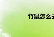 竹鼠怎么去味（竹鼠肉）