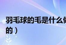 羽毛球的毛是什么做的（羽毛球的毛是什么做的）