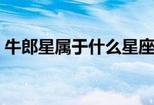 牛郎星属于什么星座（牛郎星属于那个星座）