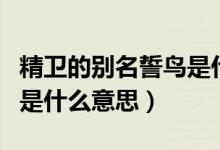 精卫的别名誓鸟是什么含义（精卫的别名誓鸟是什么意思）