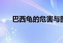 巴西龟的危害与图片（巴西龟的危害）