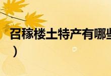 召稼楼土特产有哪些（召稼楼的土特产有哪些）