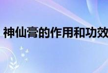 神仙膏的作用和功效（神仙膏的作用是什么）