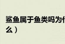鲨鱼属于鱼类吗为什么（鲨鱼属于鱼类吗为什么）