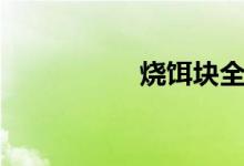 烧饵块全集（烧饵块）
