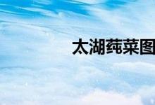 太湖莼菜图片（太湖莼菜）