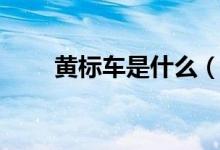 黄标车是什么（黄标车的认定标准）