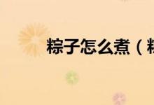 粽子怎么煮（粽子怎么煮才好吃）