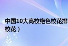 中国10大高校绝色校花排行（最美校花排行榜中国十大美女校花）